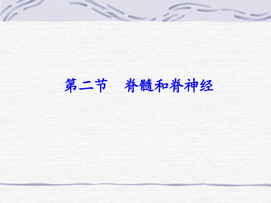 脊髓和脊神经_第2页