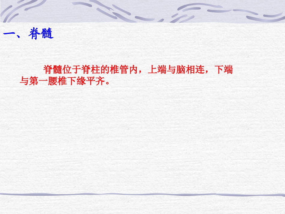 脊髓和脊神经_第3页