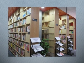 计算机文件和文件夹