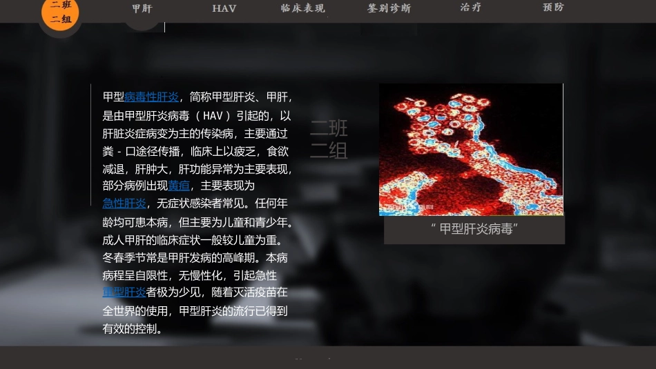 甲肝病毒介绍_第2页