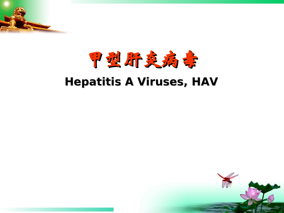 甲型肝炎病毒_第1页