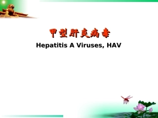 甲型肝炎病毒