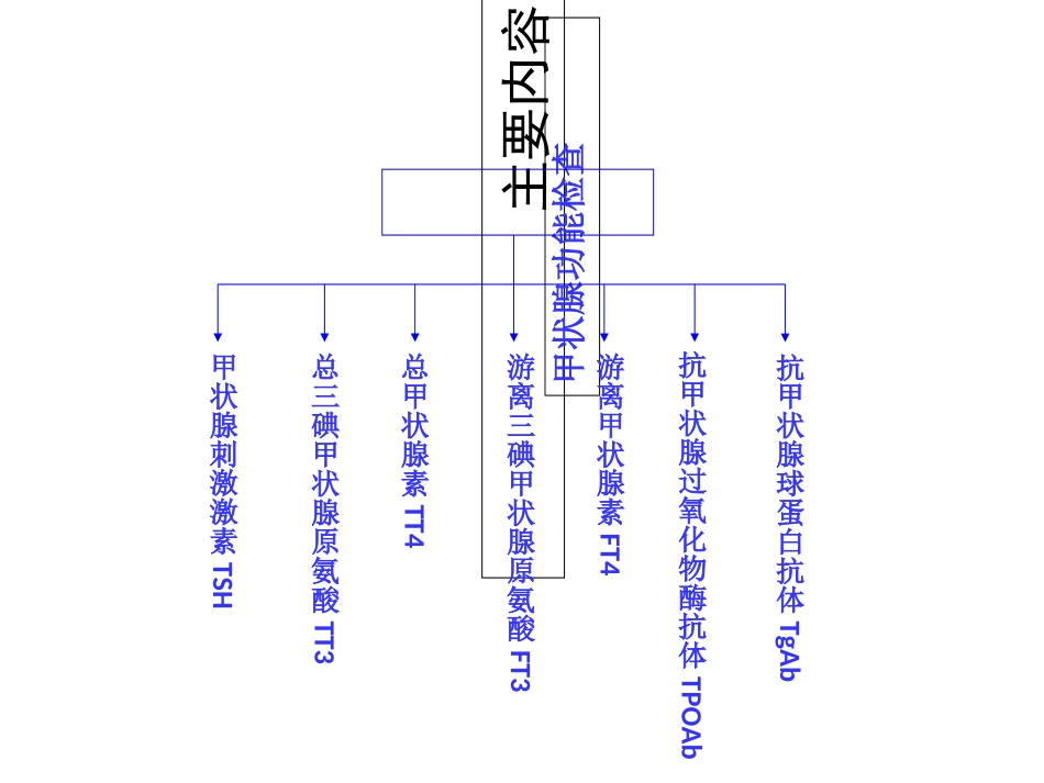 甲状腺功能课件_第2页