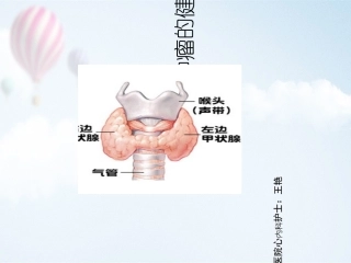 甲状腺肿瘤的健康教育