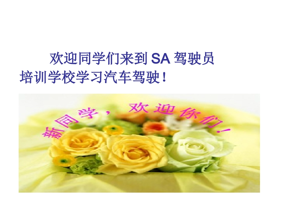 驾校安全培训课件_第2页