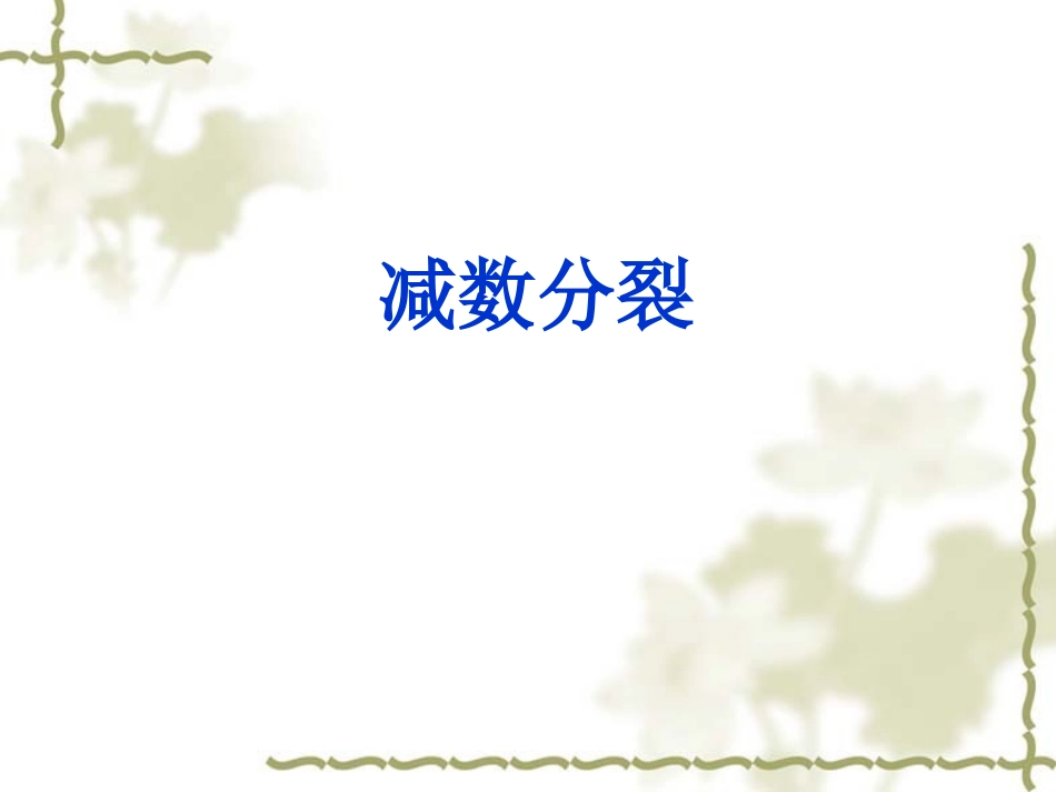 减数分裂课件_第1页