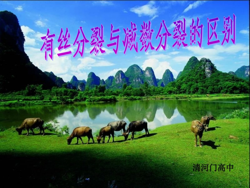 减数分裂与有丝分裂的区别课件_第1页