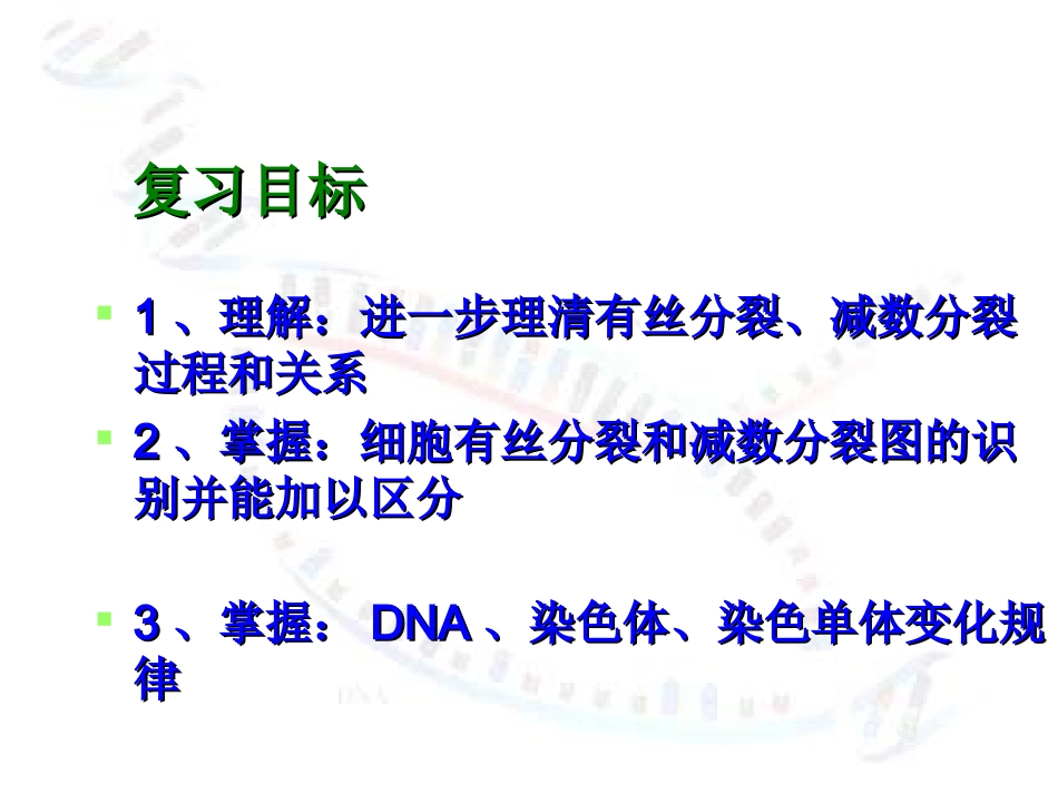 减数分裂与有丝分裂的区别课件_第2页