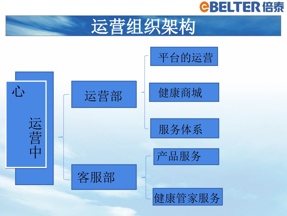 健康管理服务运营方案_第3页