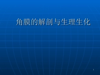 角膜的解剖与生理