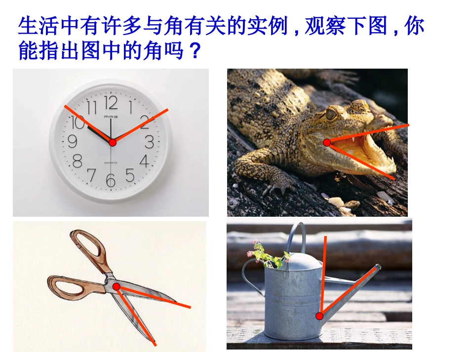 角与角的度量_第2页