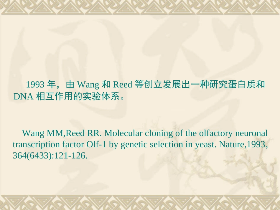 酵母单杂交系统_第2页