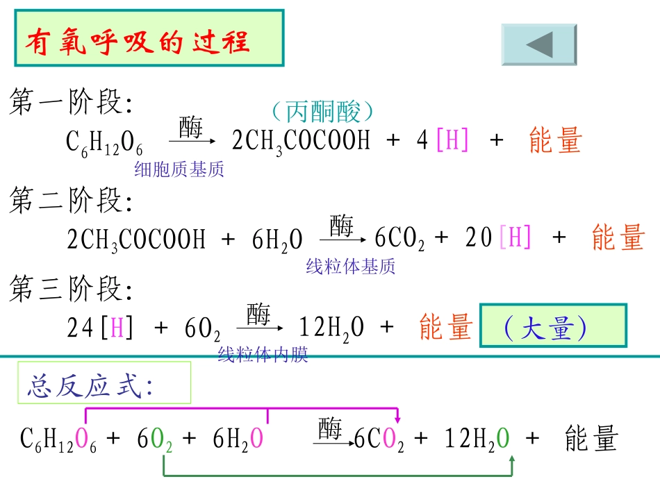 酵母菌细胞呼吸方式_第2页