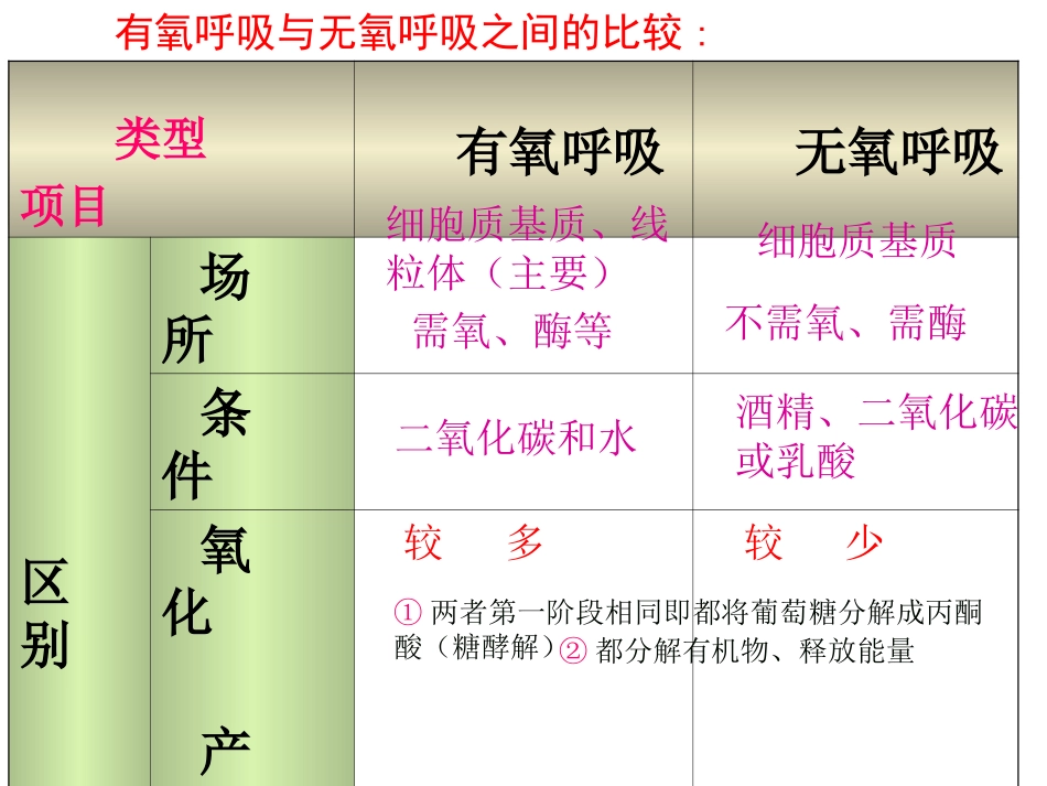 酵母菌细胞呼吸方式_第3页