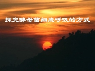 酵母菌细胞呼吸方式