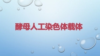 酵母人工染色体载体课件