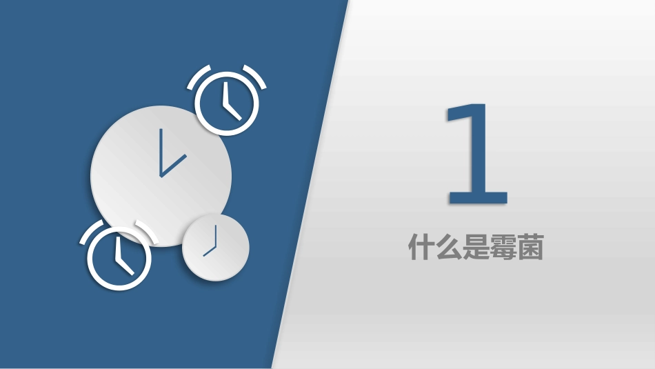 洁净区环境霉菌控制_第3页