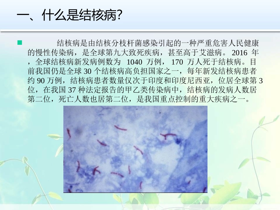 结核病防治知识_第2页