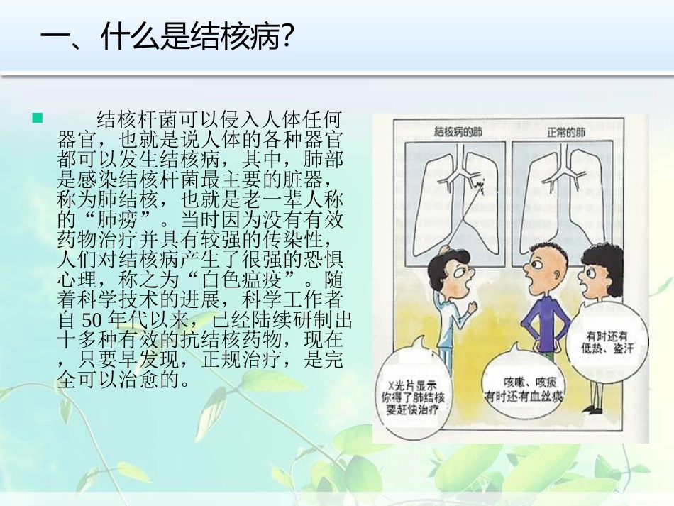 结核病防治知识_第3页