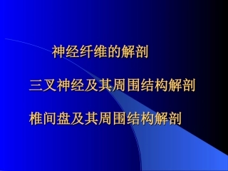 解剖培训资料