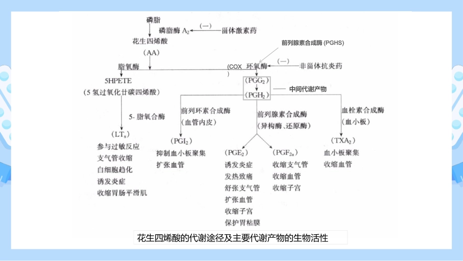 解热镇痛抗炎药_第3页
