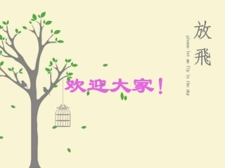 解直角三角形公开课