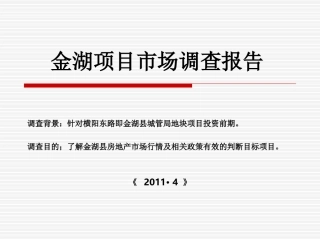 金湖项目市场调查报告
