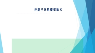 经腹子宫肌瘤挖除术