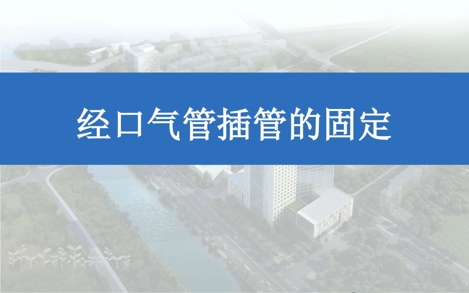 经口气管插管的固定_第1页