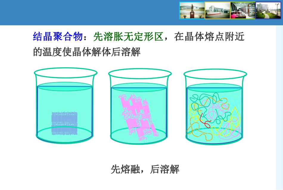 晶态聚合物溶解解读_第3页