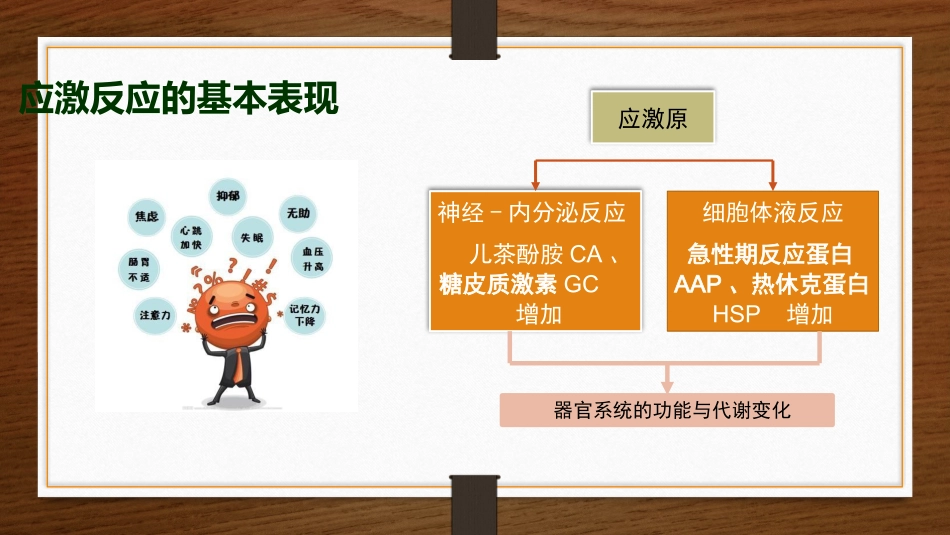 精神医学急性应激障碍小讲课课件_第3页
