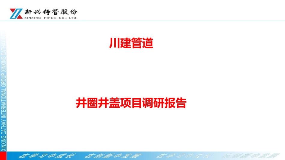 井盖调研报告_第2页