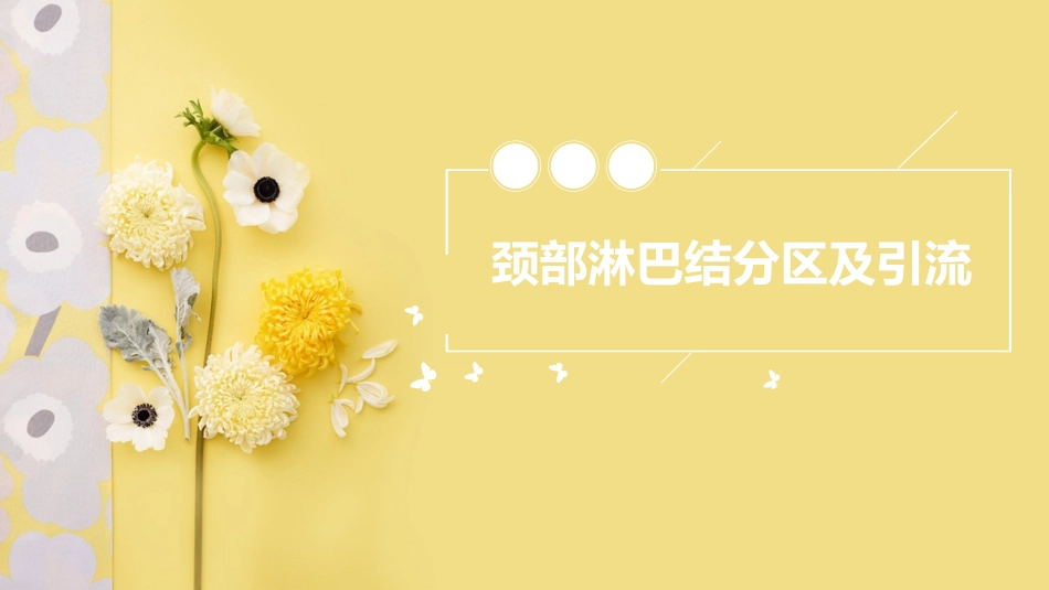颈部淋巴结分区及引流_第1页