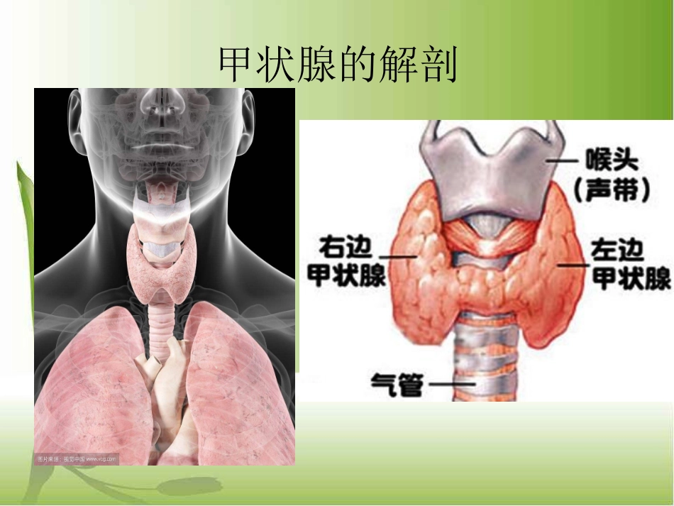 颈部肿物的护理_第2页