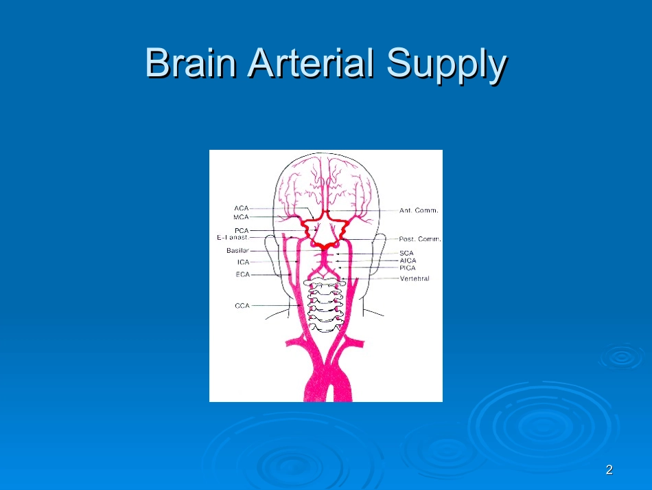 颈内动脉分段详解_第2页