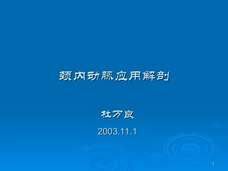 颈内动脉分段详解