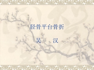 胫骨平台骨折的分型和治疗
