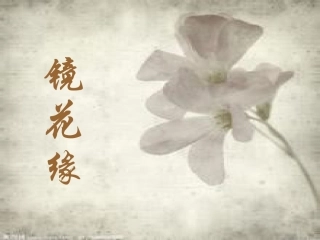 镜花缘和儒林外史课件