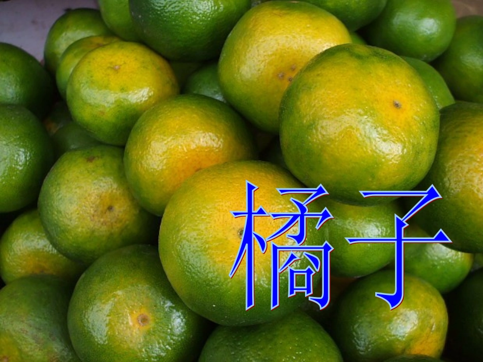 橘子的生长过程课堂_第1页