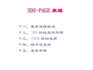 聚丙烯酰胺凝胶电泳技术SDSPAGE