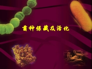 菌种保藏及活化讲解