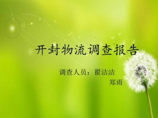 开封物流调查报告.