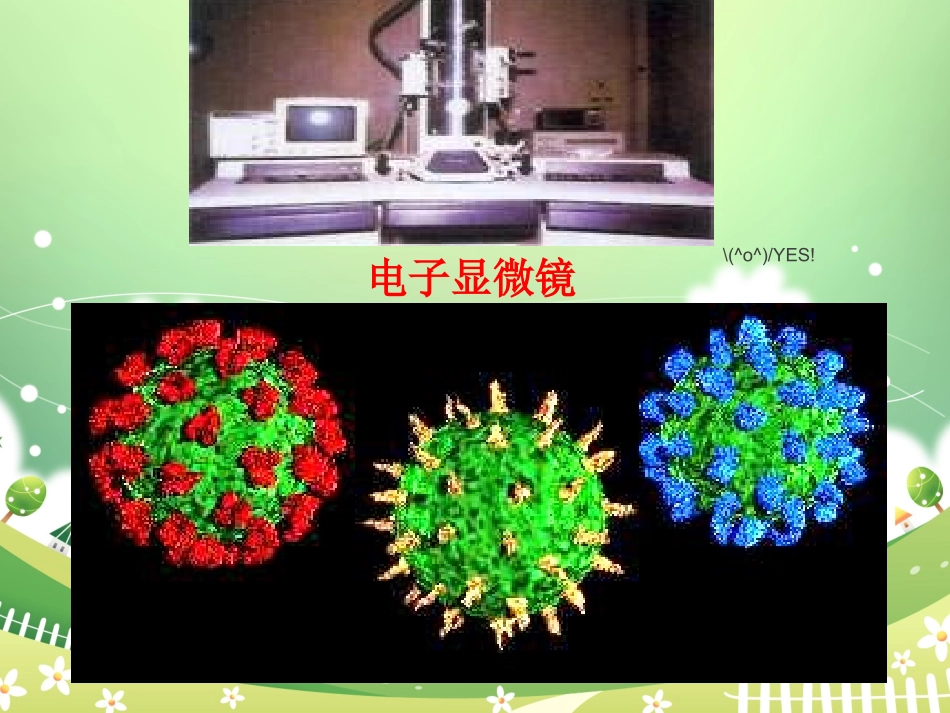 科普病毒大作战_第2页