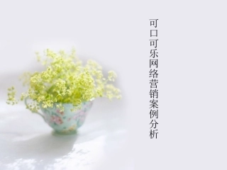 可口可乐网络营销案例分析