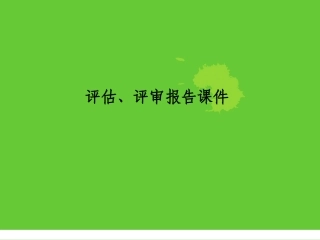 可行性研究报告评估评审报告课件