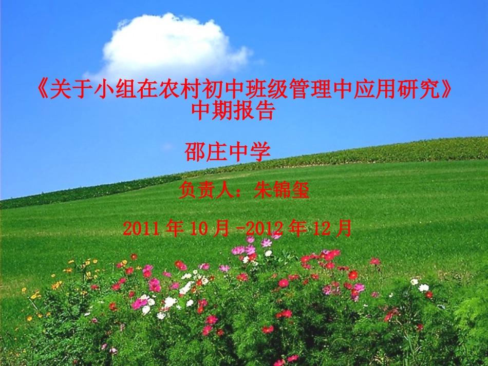 课题中期报告_第1页