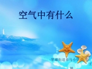 空气中有什么