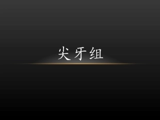 口腔医学尖牙组