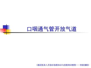 口咽通气管课件
