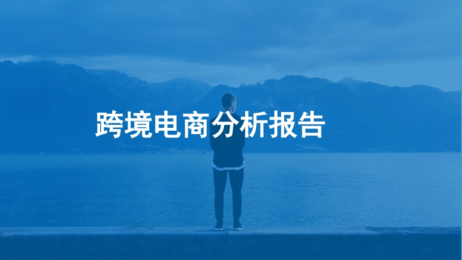 跨境电商分析报告_第1页